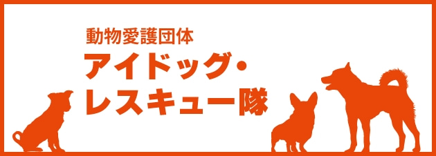動物愛護団体 アイドッグ・レスキュー隊